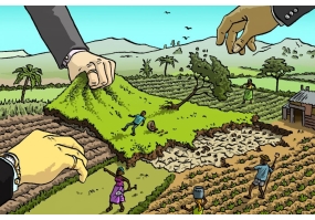 Làm gì khi bị lấn chiếm đất